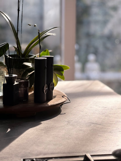 Electric Salt & Pepper Shakers